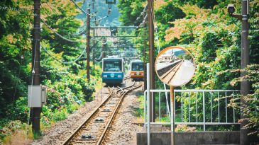 夏季休業のお知らせ